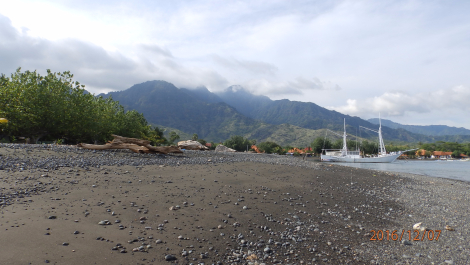 photo 1453418