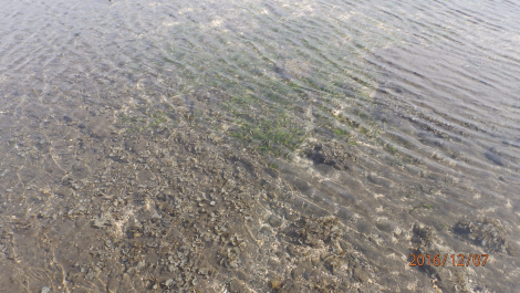 photo 1453421