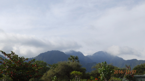photo 1453422