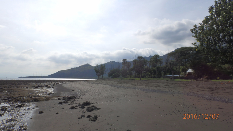 photo 1453424