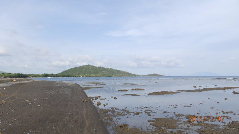 photo 1453425