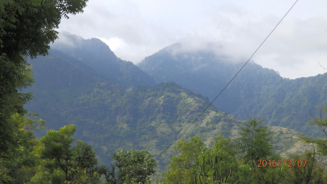 photo 1453433