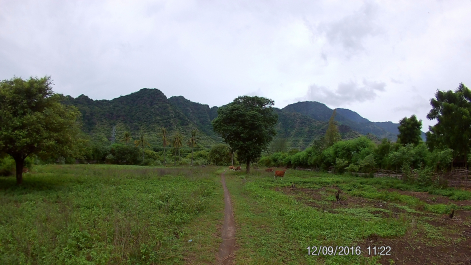 photo 1453438