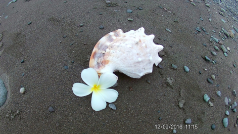 photo 1453441