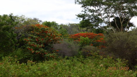 photo 1453446