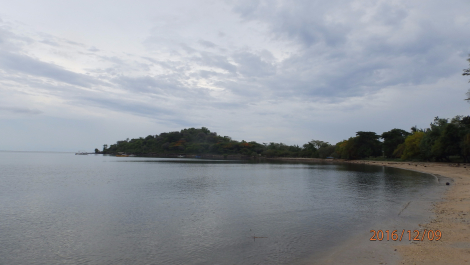 photo 1453463