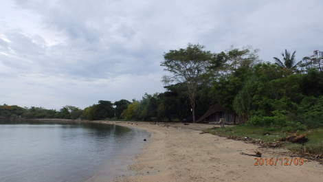 photo 1453464