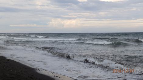 photo 1453534