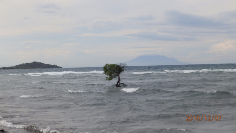 photo 1453550