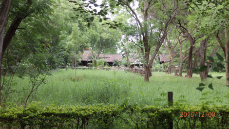 photo 1455237