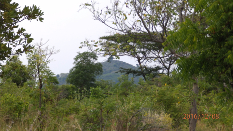 photo 1455241
