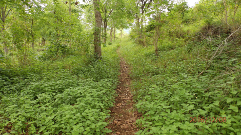photo 1455247
