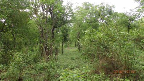 photo 1455248