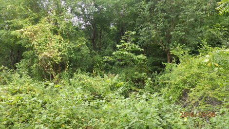 photo 1455251