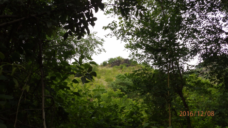 photo 1455252