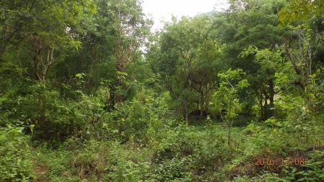photo 1455253