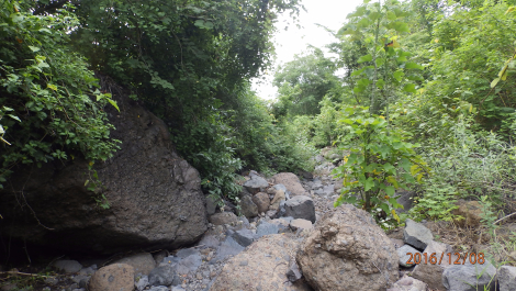 photo 1455254