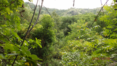 photo 1455256