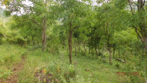 photo 1455263