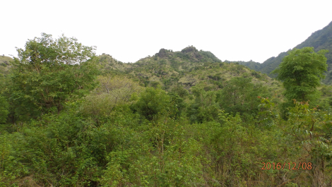 photo 1455267