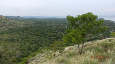 photo 1455305