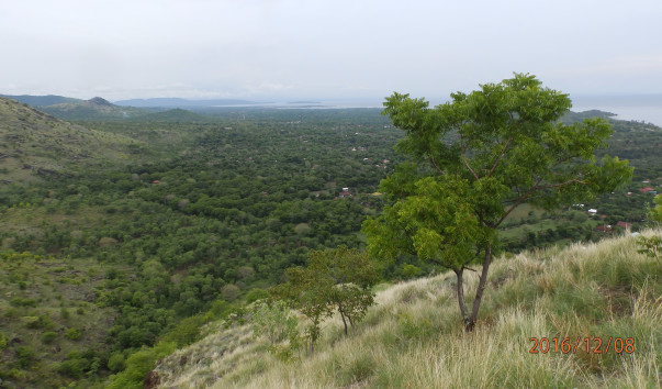PC087422