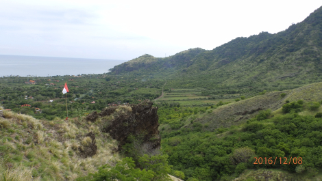 photo 1455313
