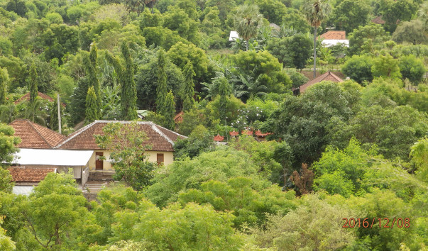 PC087366