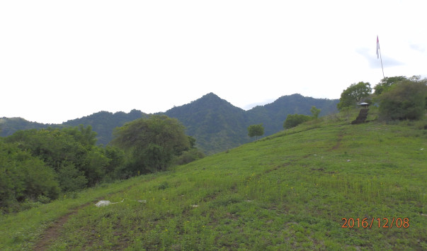 PC087358