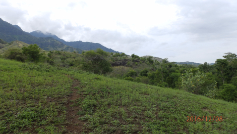 photo 1455354