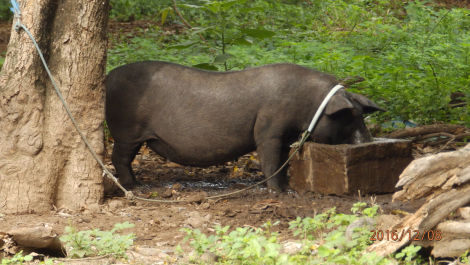 photo 1455359