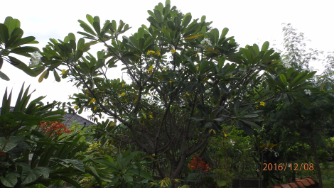 photo 1455363