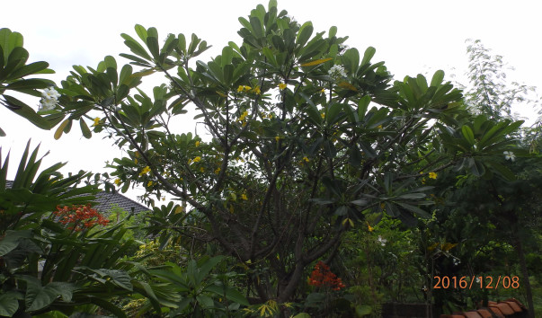 PC087345