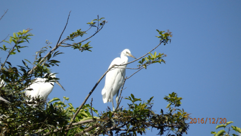 photo 1463831