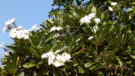 photo 1463848