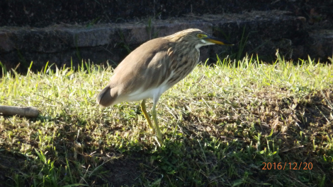 photo 1463905