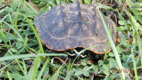 photo 1463924