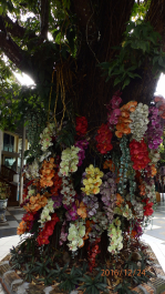 photo 1465024