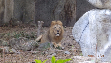 photo 1469708