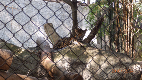 photo 1469710