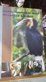 photo 1470364