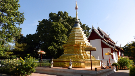 photo 1471455