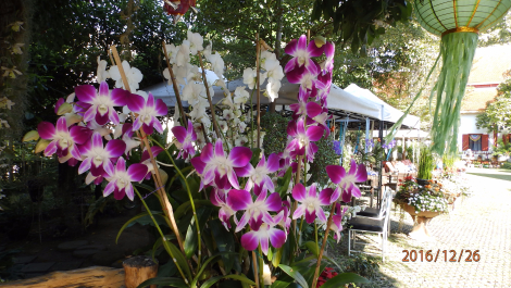 photo 1471474