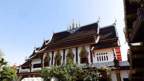 photo 1471561