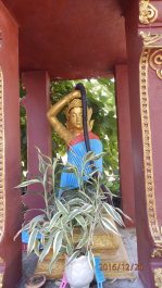 photo 1471570