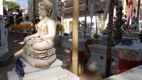 photo 1471617