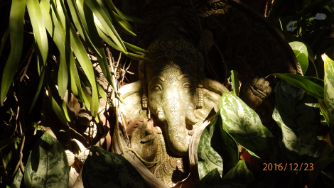 photo 1471637