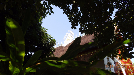 photo 1471640
