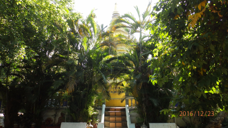 photo 1471747