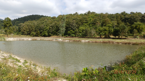 photo 1472215